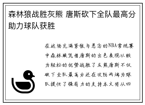 森林狼战胜灰熊 唐斯砍下全队最高分助力球队获胜