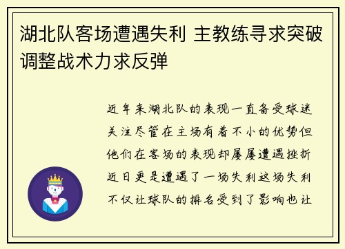 湖北队客场遭遇失利 主教练寻求突破调整战术力求反弹